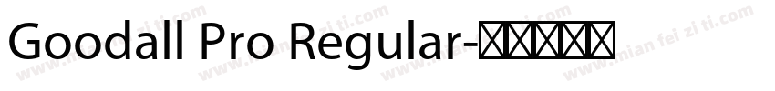 Goodall Pro Regular字体转换